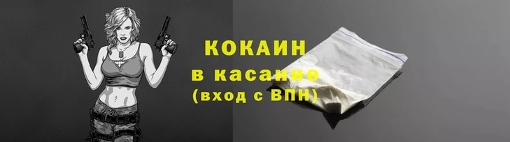мяу мяу мука Арсеньев
