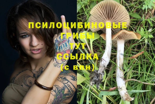 марихуана Аркадак