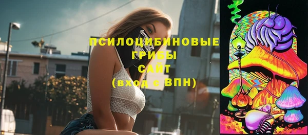 мяу мяу мука Арсеньев