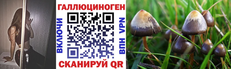 Галлюциногенные грибы прущие грибы  Болотное 