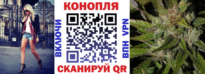 Марихуана план  продажа наркотиков  Болотное 